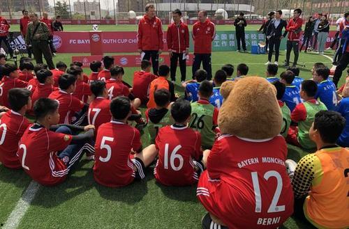 足球爆料计划最新,独家内幕，带你领略绿茵场风云变幻  第1张